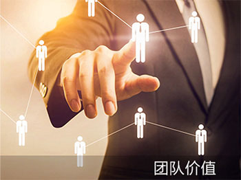 團(tuán)隊(duì)價值